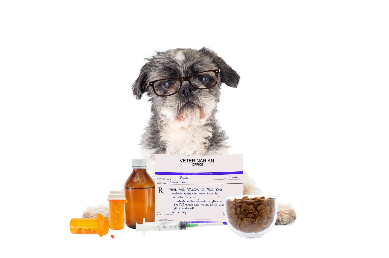 Get Instant Medication for Your Pets with Pet Guardians