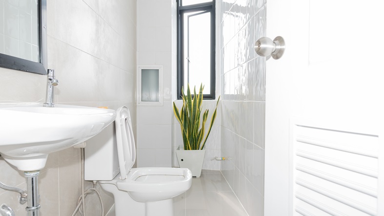What Should You Consider Before Buying a Toilet?